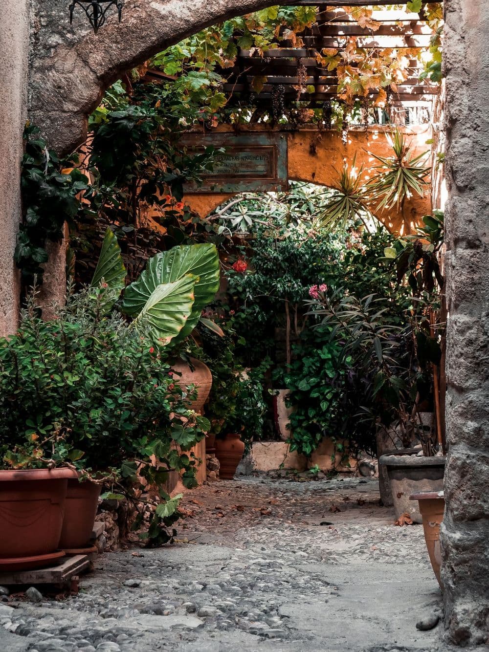 A leafy courtyard garden framed by a stone arch